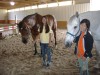 Sierra Woods Farm - Horse Camp