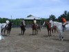 Sierra Woods Farm - Horse Camp