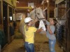 Sierra Woods Farm - Horse Camp