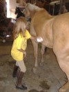 Sierra Woods Farm - Horse Camp