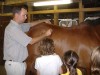 Sierra Woods Farm - Horse Camp