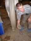 Sierra Woods Farm - Horse Camp