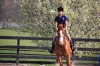 Sierra Woods Farm - Advanced Riding Clinic