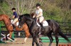 Sierra Woods Farm - Advanced Riding Clinic