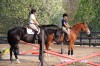 Sierra Woods Farm - Advanced Riding Clinic