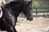 Sierra Woods Farm - Advanced Riding Clinic