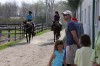 Sierra Woods Farm - Advanced Riding Clinic