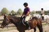 Sierra Woods Farm - Advanced Riding Clinic
