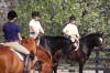 Sierra Woods Farm - Advanced Riding Clinic