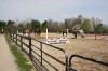 Sierra Woods Farm - Advanced Riding Clinic