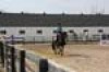 Sierra Woods Farm - Advanced Riding Clinic