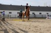 Sierra Woods Farm - Advanced Riding Clinic