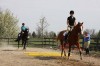 Sierra Woods Farm - Advanced Riding Clinic