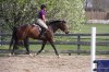 Sierra Woods Farm - Advanced Riding Clinic