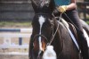 Sierra Woods Farm - Advanced Riding Clinic
