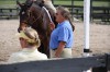 Sierra Woods Farm - Advanced Riding Clinic