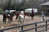 Sierra Woods Farm - Advanced Riding Clinic