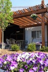 Sierra Woods Farm - Advanced Riding Clinic