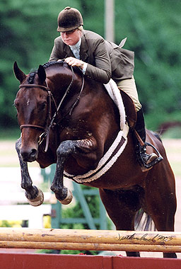 Amy Tilson